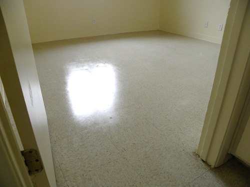 Floor Strip And Wax